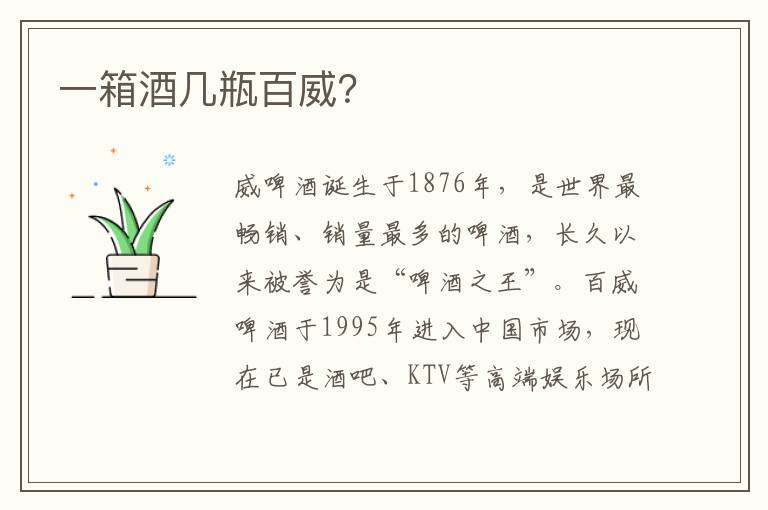 一箱酒几瓶百威?